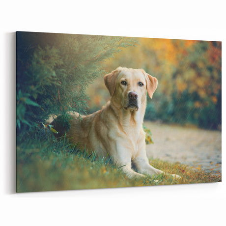 Labrador Retriever in Nature Wall Decor - Dog Canvas Art & Gifts
