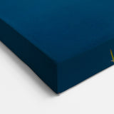 Striking Puffin Canvas Art - Perfect Puffin Decor for Nature Lovers