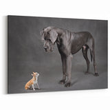Contrasting Great Dane and Chihuahua Art Prints - Dog Wall Decor