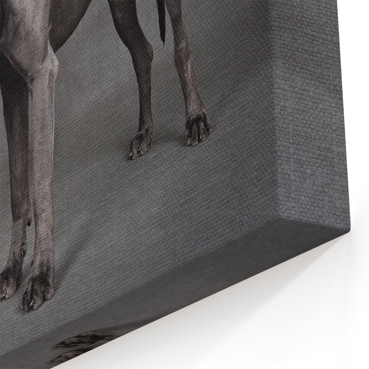 Contrasting Great Dane and Chihuahua Art Prints - Dog Wall Decor