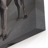 Contrasting Great Dane and Chihuahua Art Prints - Dog Wall Decor