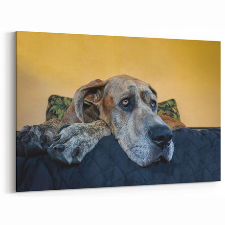 Relaxed Great Dane Art Prints - Dog Wall Decor for Cozy Spaces