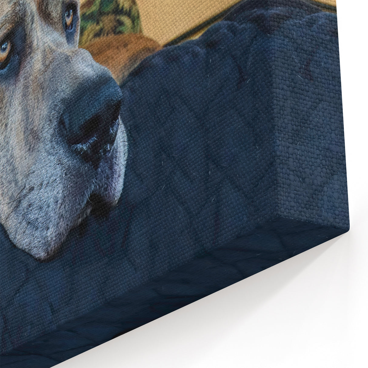 Relaxed Great Dane Art Prints - Dog Wall Decor for Cozy Spaces