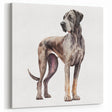 Watercolor Great Dane Wall Decor - Dog Art Prints & Canvas