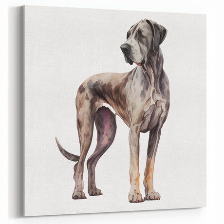 Watercolor Great Dane Wall Decor - Dog Art Prints & Canvas