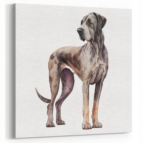 Watercolor Great Dane Wall Decor - Dog Art Prints & Canvas