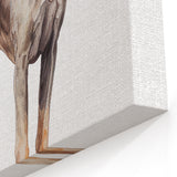 Watercolor Great Dane Wall Decor - Dog Art Prints & Canvas