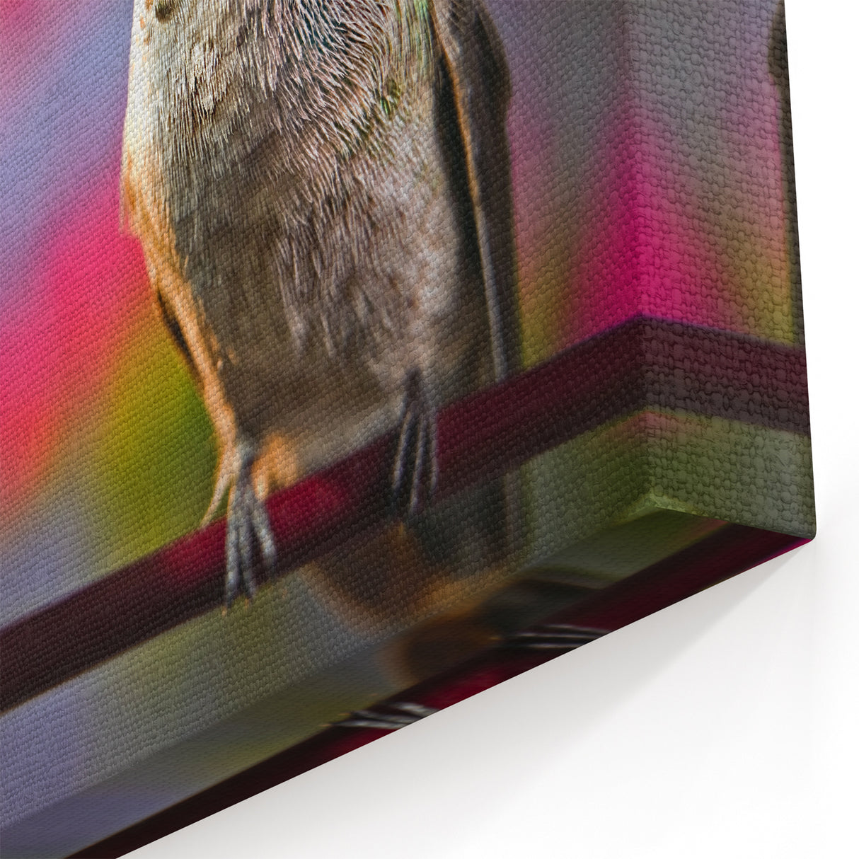 Colorful Hummingbird Wall Art - Hummingbird Canvas Art & Decor