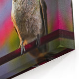 Colorful Hummingbird Wall Art - Hummingbird Canvas Art & Decor