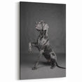 Regal Great Dane Art Prints - Dog Wall Decor for Modern Homes