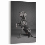 Regal Great Dane Art Prints - Dog Wall Decor for Modern Homes