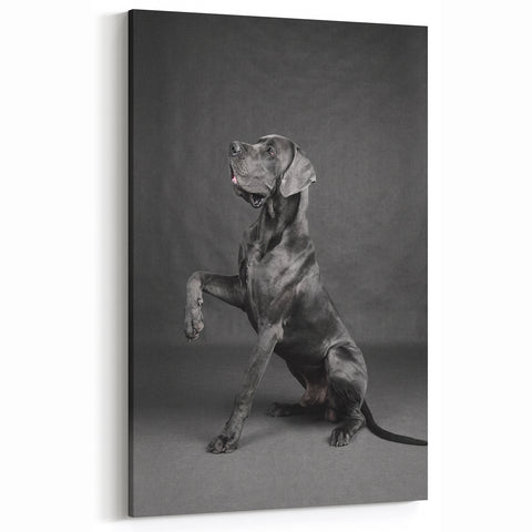Regal Great Dane Art Prints - Dog Wall Decor for Modern Homes