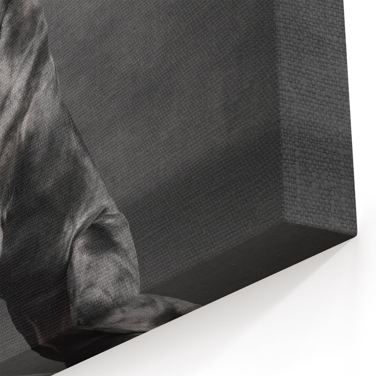 Regal Great Dane Art Prints - Dog Wall Decor for Modern Homes