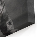 Regal Great Dane Art Prints - Dog Wall Decor for Modern Homes