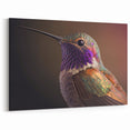 Radiant Hummingbird Wall Art - Colorful Hummingbird Decor & Print