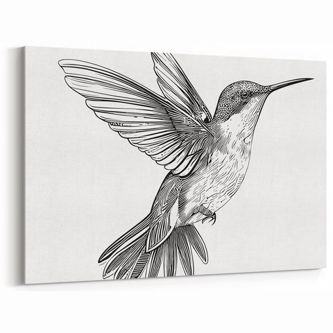 Minimalist Hummingbird Line Art - Elegant Hummingbird Decor & Print