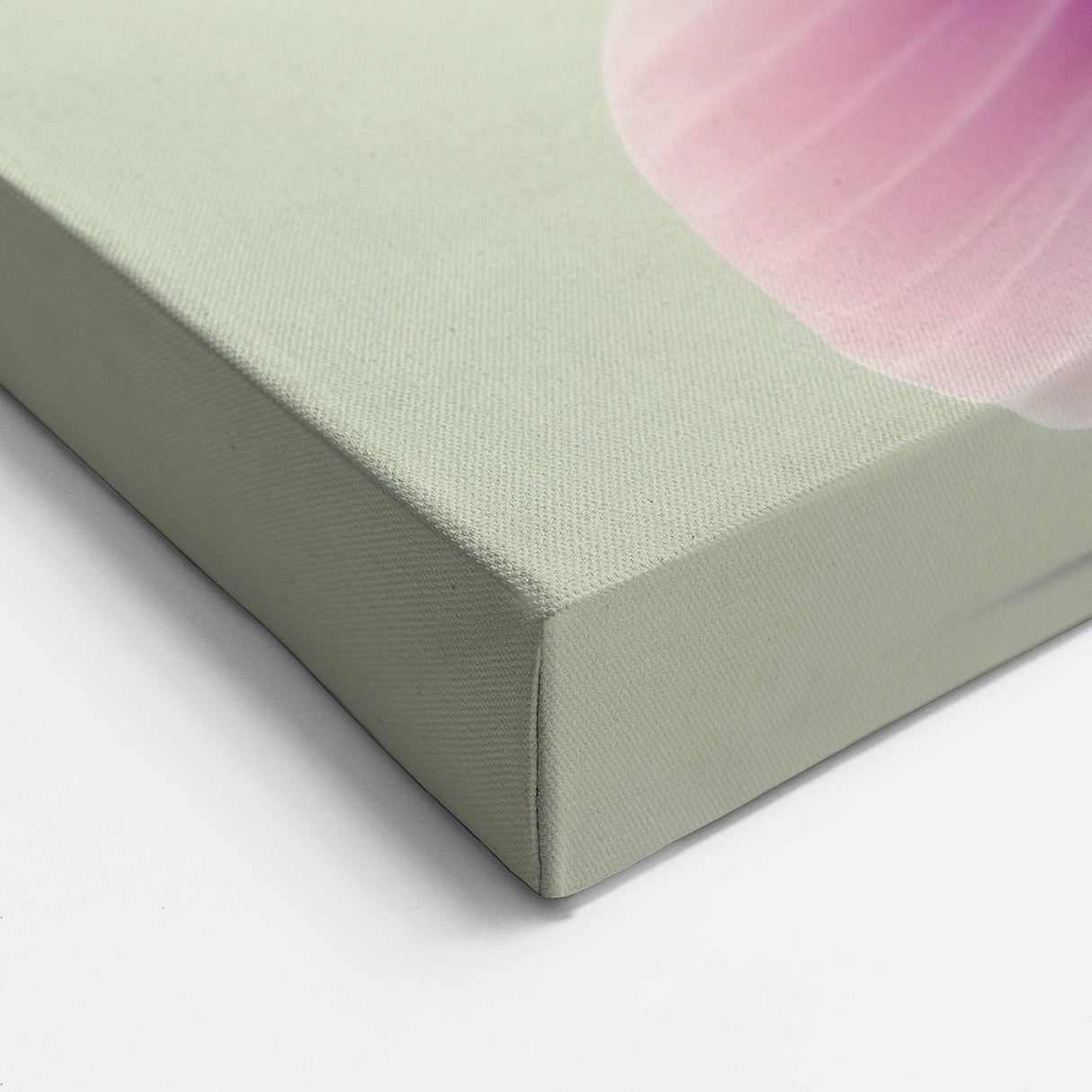 Delicate Hummingbird Wall Art - Elegant Hummingbird Decor & Print