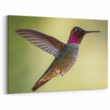 Vibrant Hummingbird Wall Art - Colorful Hummingbird Decor & Print