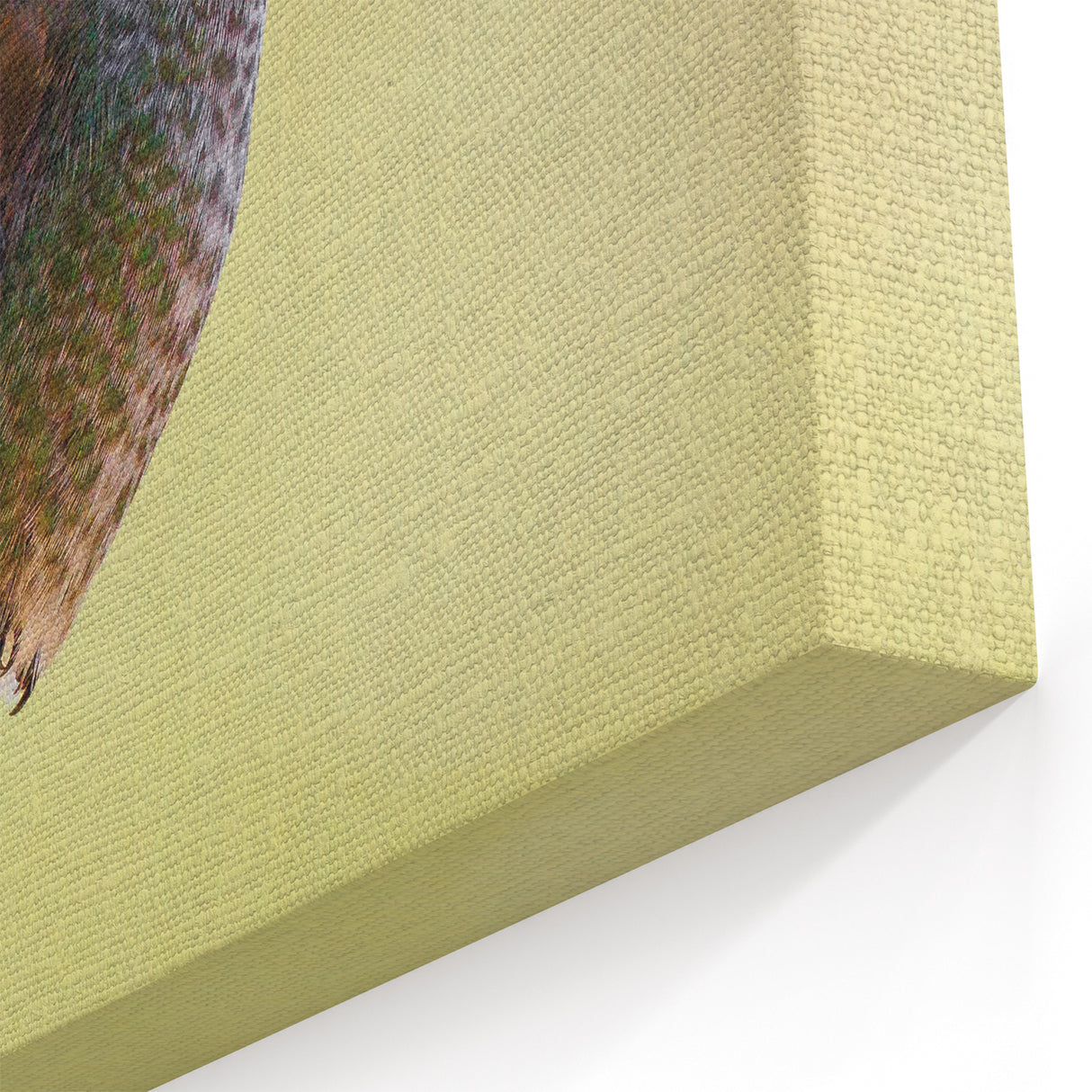 Vibrant Hummingbird Wall Art - Colorful Hummingbird Decor & Print