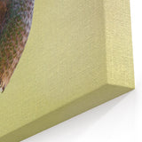 Vibrant Hummingbird Wall Art - Colorful Hummingbird Decor & Print