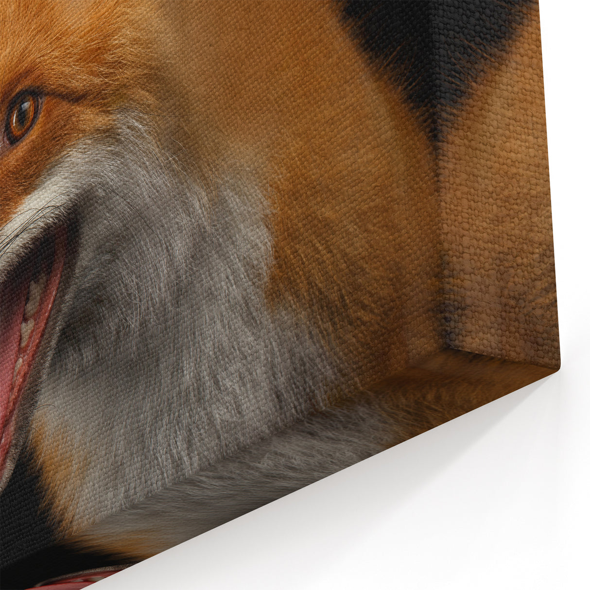 Fox Canvas Print - Stunning Wildlife Art Decor