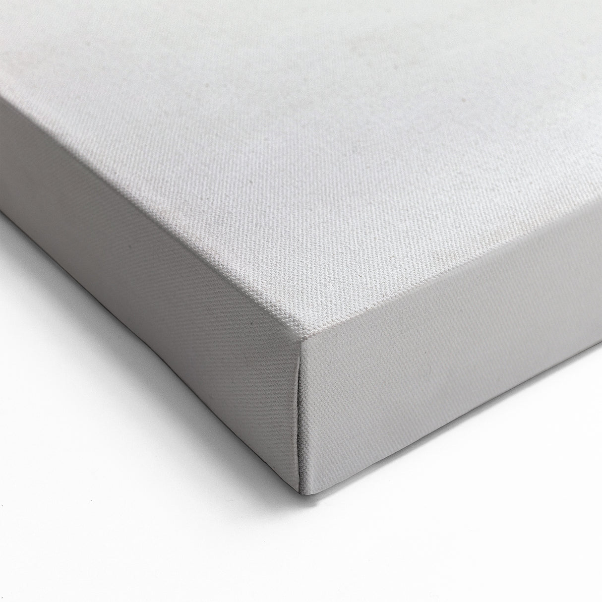 Fox Acrylic Glass Art - Modern Wildlife Wall Decor