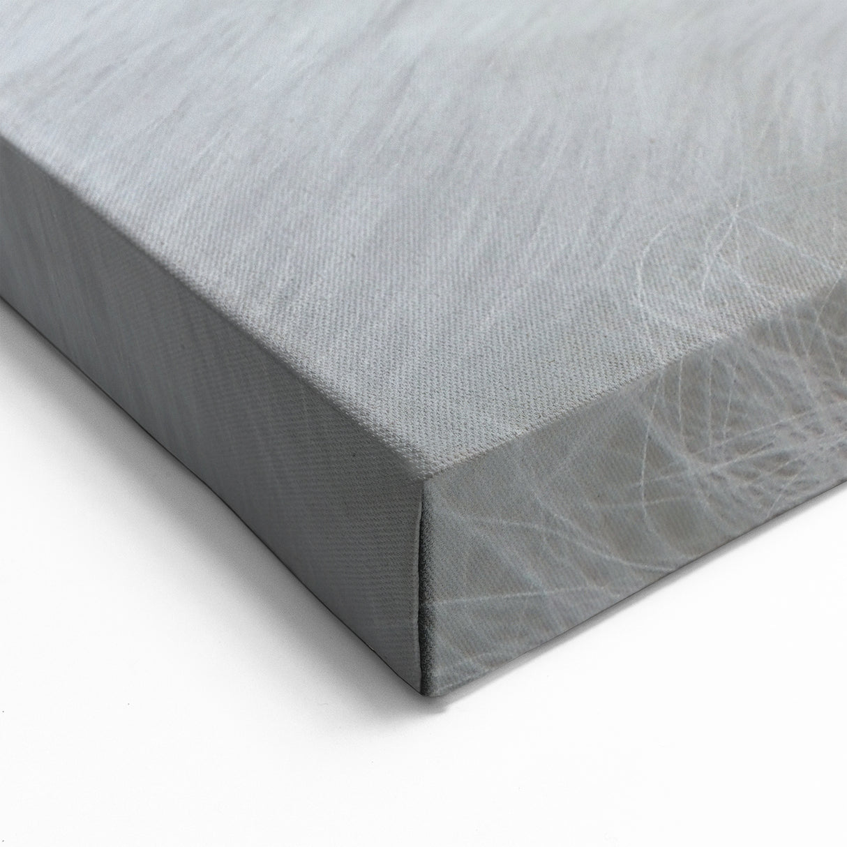 Serene Arctic Fox Wall Art - Elegant White Fox on Canvas and Prints