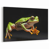 Dynamic Frog Wall Art - Jumping Amphibian Canvas & Framed Prints