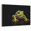 Green Frog Wall Art - Amphibian Canvas Print for Nature-Inspired Decor
