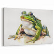 Realistic Frog Wall Art - Detailed Amphibian Canvas & Framed Prints