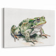 Artistic Frog Wall Art - Textured Amphibian Canvas & Framed Prints