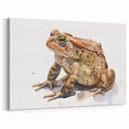 Realistic Frog Wall Art - Detailed Amphibian Canvas Print for Nature Lovers