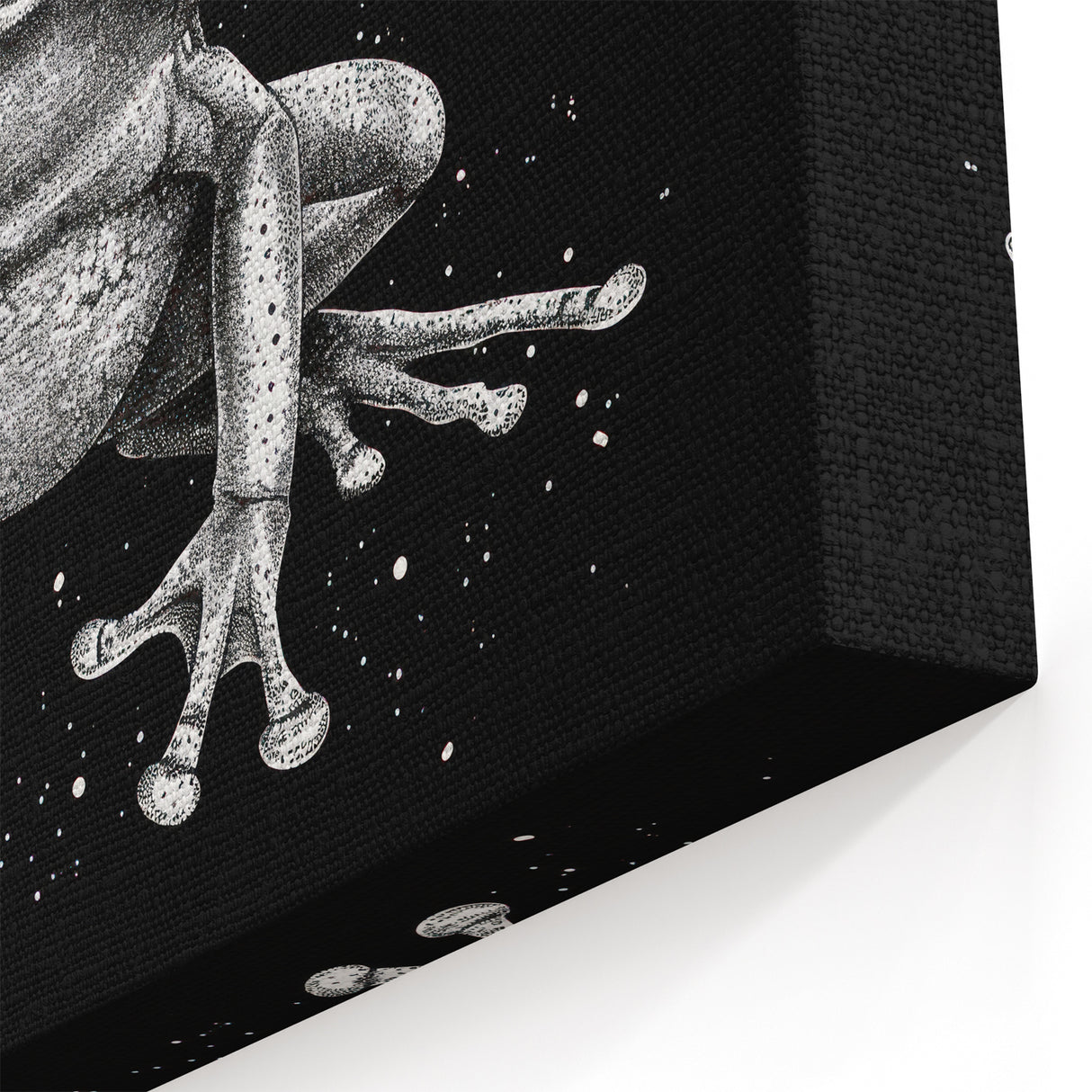 Monochrome Frog Wall Art - Black and White Amphibian Canvas Prints