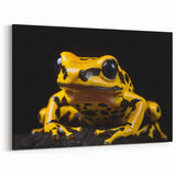 Yellow Poison Dart Frog Wall Art - Bold Amphibian Canvas Print Decor