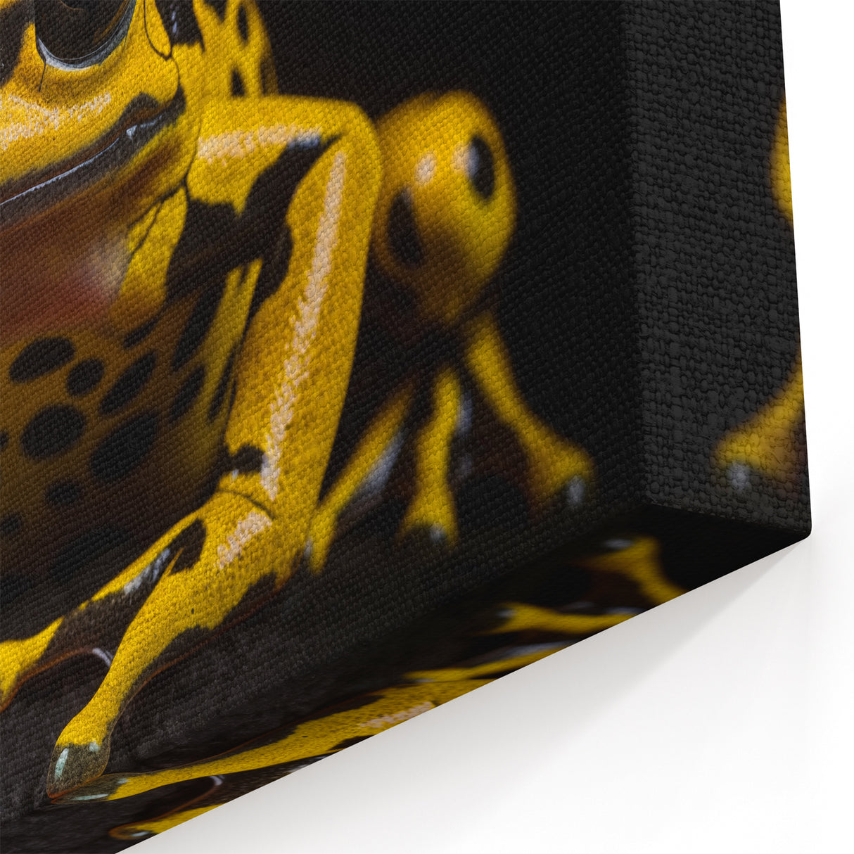 Yellow Poison Dart Frog Wall Art - Bold Amphibian Canvas Print Decor