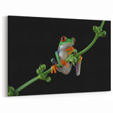 Tree Frog Wall Art - Vibrant Amphibian Canvas Print for Nature Decor