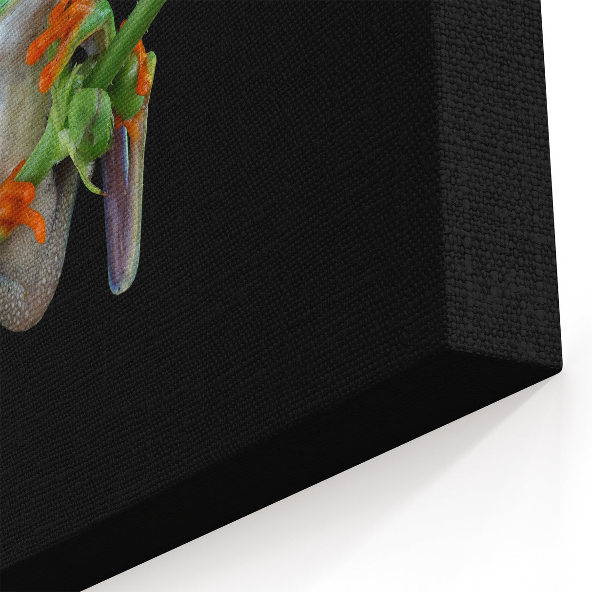 Tree Frog Wall Art - Vibrant Amphibian Canvas Print for Nature Decor