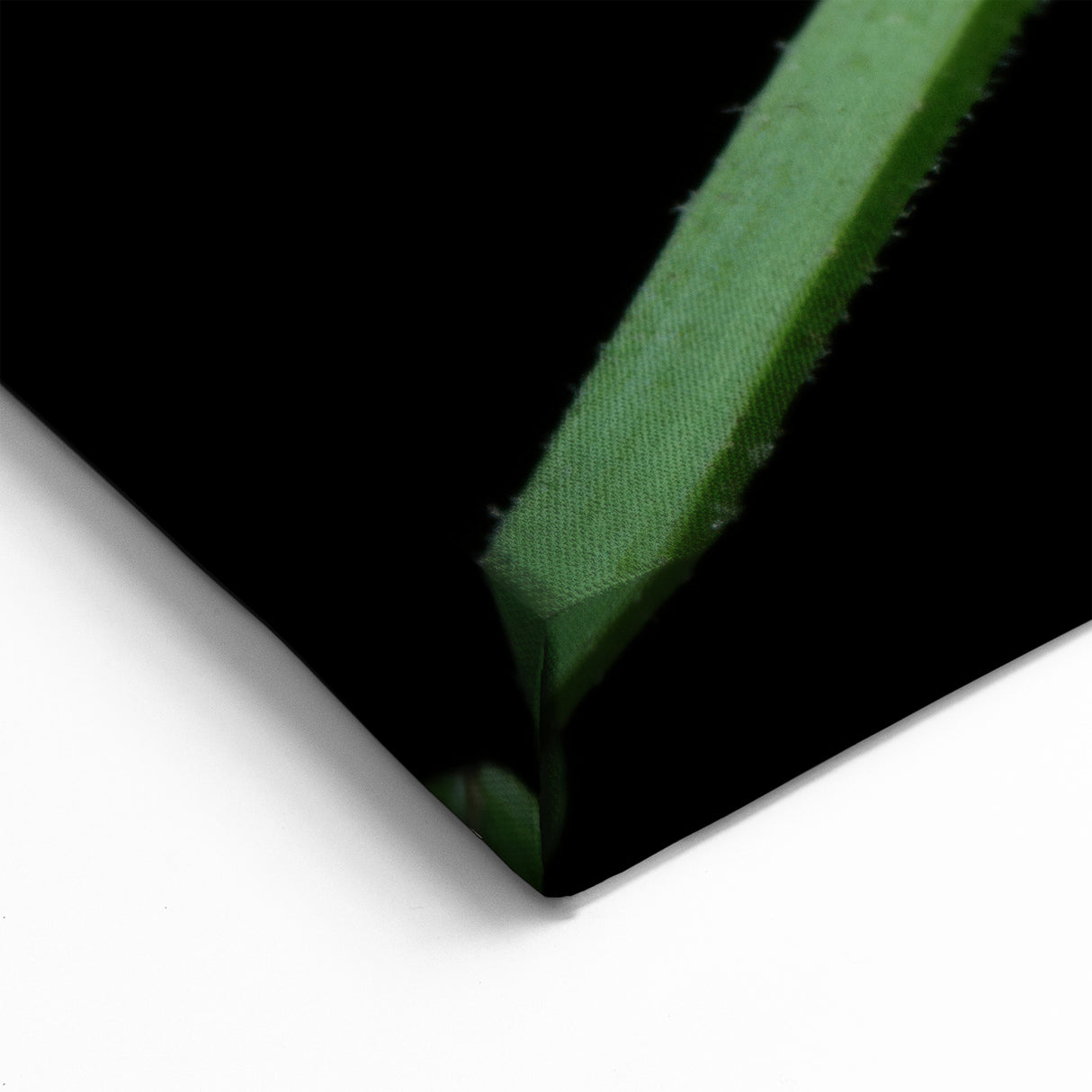 Tree Frog Wall Art - Vibrant Amphibian Canvas Print for Nature Decor