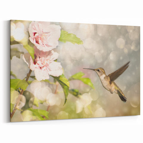 Dreamy Hummingbird Wall Art - Serene Hummingbird Decor & Print