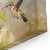 Dreamy Hummingbird Wall Art - Serene Hummingbird Decor & Print