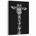 Majestic Giraffe Wall Art - Black and White Wildlife Canvas Print