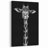 Majestic Giraffe Wall Art - Black and White Wildlife Canvas Print