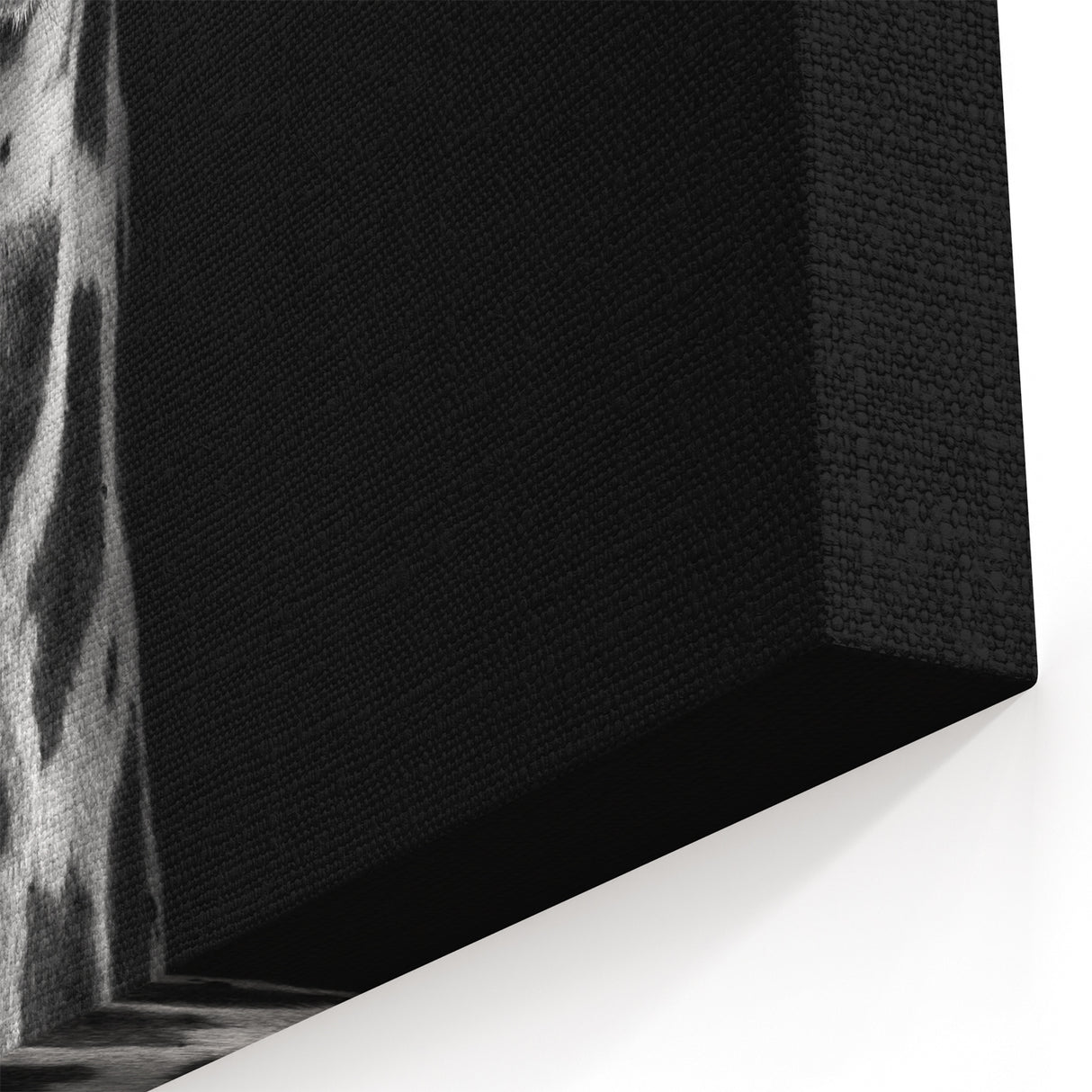 Majestic Giraffe Wall Art - Black and White Wildlife Canvas Print