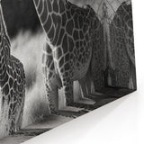 Graceful Giraffe Wall Art - Safari Wildlife Canvas, Framed & Acrylic Prints