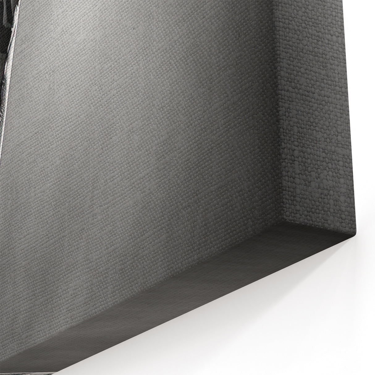 Silhouette Giraffe Wall Art - Elegant Black and White Canvas Print