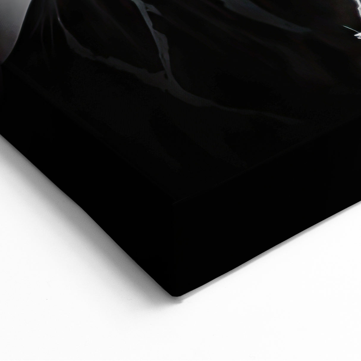 Silhouette Giraffe Wall Art - Elegant Black and White Canvas Print