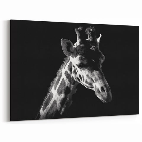 Elegant Giraffe Wall Art - Black and White Wildlife Canvas Print