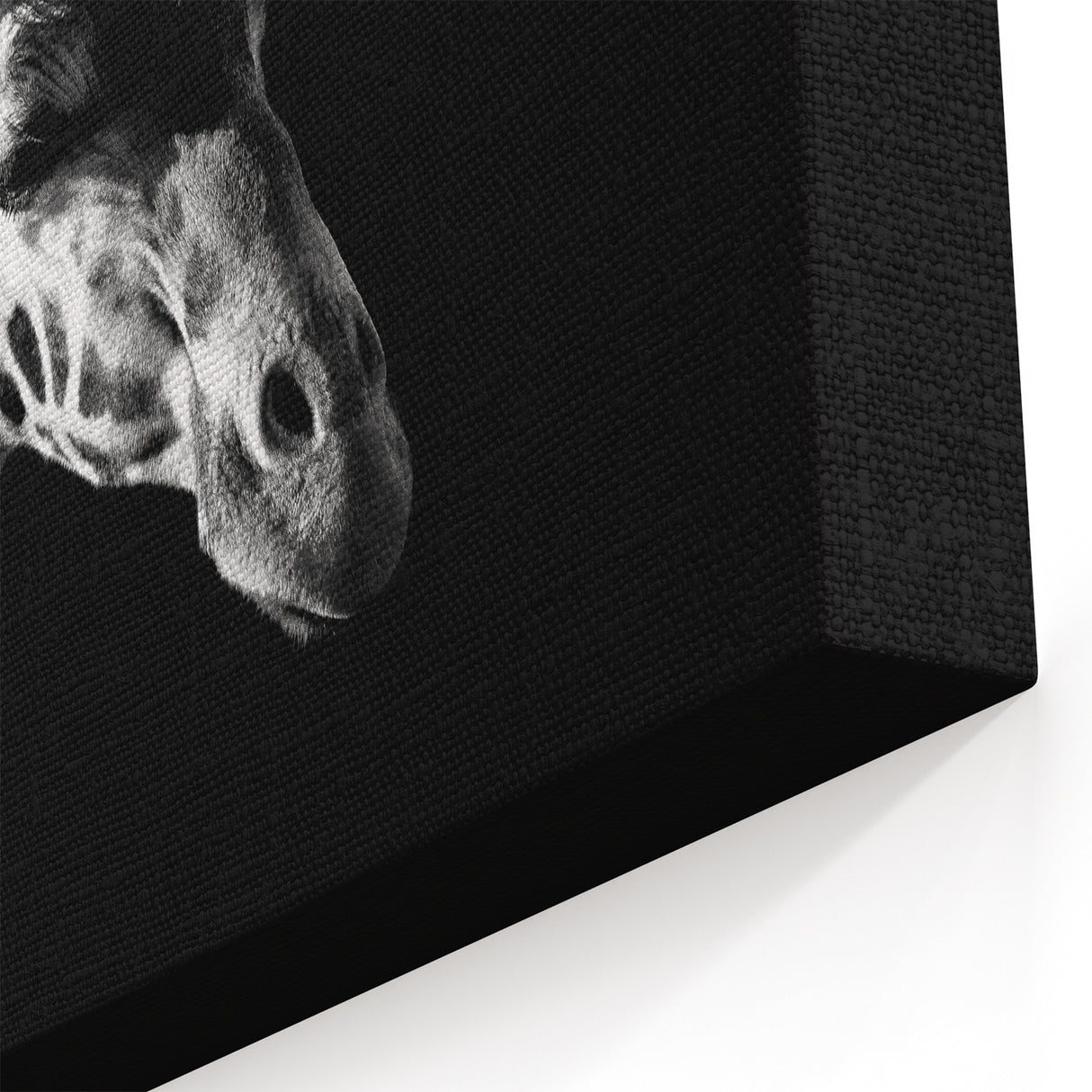 Elegant Giraffe Wall Art - Black and White Wildlife Canvas Print