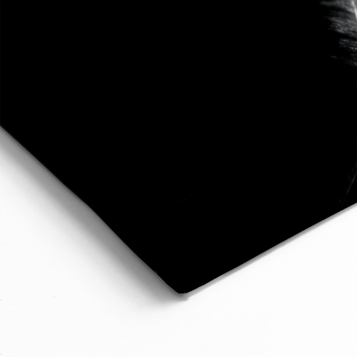 Elegant Giraffe Wall Art - Black and White Wildlife Canvas Print