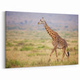 Serene Giraffe in Savannah Wall Art - Canvas, Framed & Acrylic Prints
